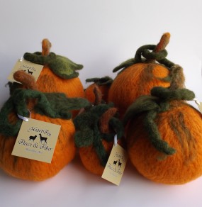 cropped pumpkins